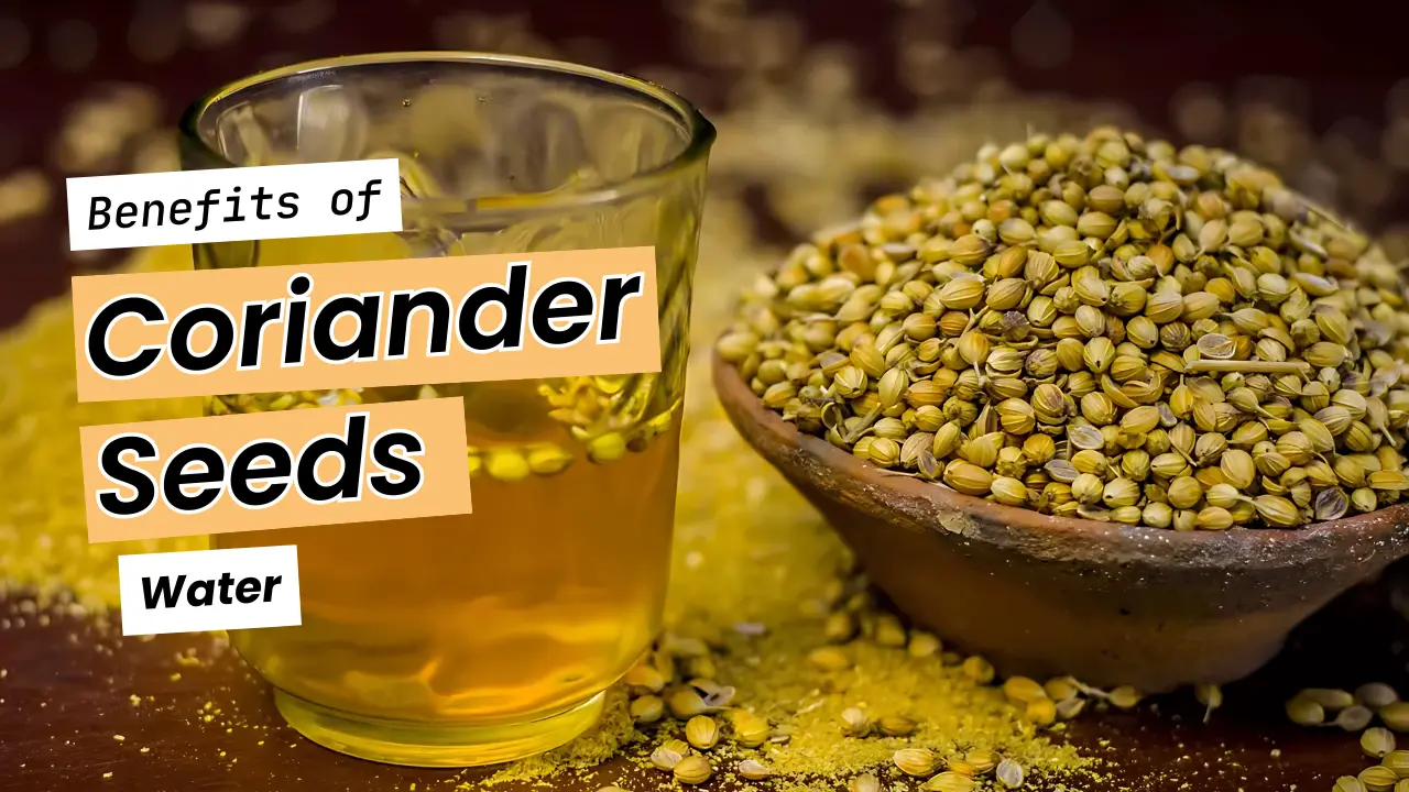 Coriander Seeds Water Managing Diabetes Naturally