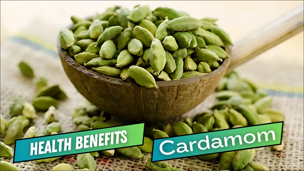 Health Benefits of Cardamom