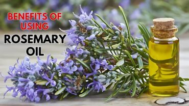 What are the Benefits of Using Rosemary Oil