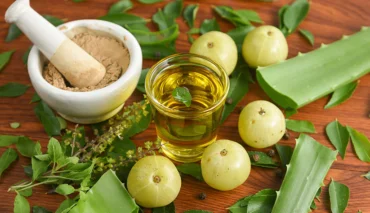 What are the Uses and Benefits of Amla Powder for Hair