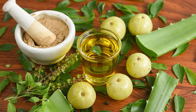 What are the Uses and Benefits of Amla Powder for Hair