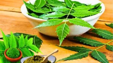 Benefits of Neem Tree